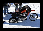 Harley & Snow 2013 (141)